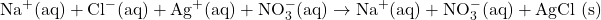 \text{Na}^+ \text{(aq)} + \text{Cl}^- \text{(aq)} + \text{Ag}^+ \text{(aq)} + \text{NO}_3^- \text{(aq)} \rightarrow \text{Na}^+ \text{(aq)} + \text{NO}_3^- \text{(aq)} + \text{AgCl (s)}