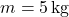 \[ m = 5 \, \text{kg} \]