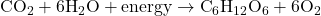 \text{CO}_2 + 6\text{H}_2\text{O} + \text{energy} \rightarrow \text{C}_6\text{H}_{12}\text{O}_6 + 6\text{O}_2